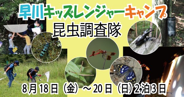 【8/18〜20】早川キッズレンジャーキャンプ　昆虫調査隊