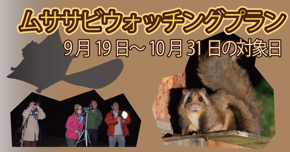 9/19�`9/22   �@���T�T�r�E�H�b�`���O�v����