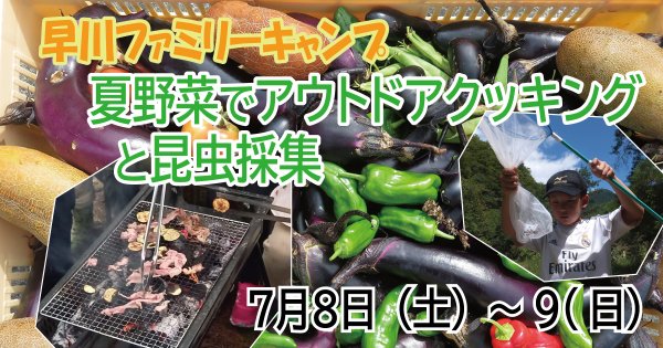 早川ファミリーキャンプ夏野菜でアウトドアクッキングと昆虫採集