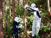木曽ヒノキを未来へ！森林ボランティア募集◆2022年10月