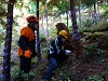 2022年11月◆森林ボランティア募集！in多賀町・高取山