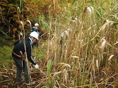 10月9日10日【湿原の保全＆稲刈り体験】そばの里森林の楽校