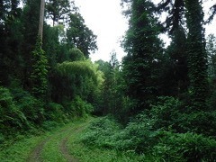 ܂̗@Xт̊yZ2025H11 NW̎̌