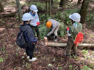 �_�̐�@�X�т̊y�Z�Q�O�Q�U�āy�X�ѐ��������̌��z